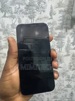 Apple iPhone 12 128 GB Gray