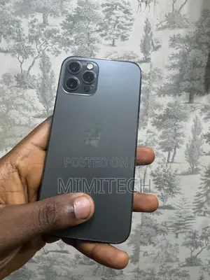 Apple iPhone 12 128 GB Gray