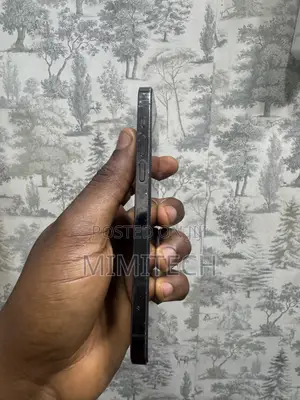 Apple iPhone 12 128 GB Gray