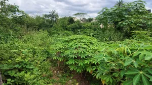 1 Plot of Land for Sale