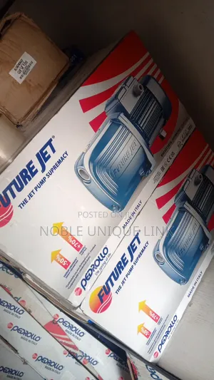 1.5 Horsepower Pedrollo Surface Water Pump