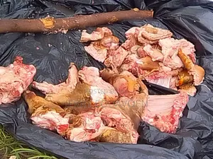 Premium Fresh and Frozen Pork Meat for Sale