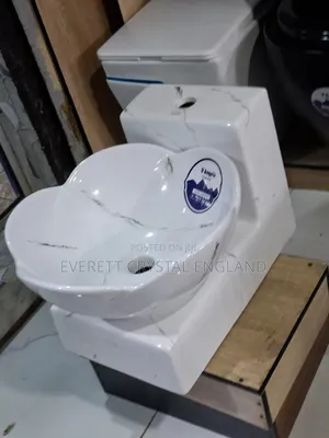 Wall Hung Basin and Pedestal