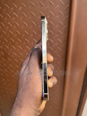 Apple iPhone 14 Pro Max 1 TB Rose Gold