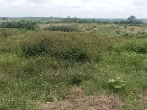 50 Hectares at Giri Gwagwalada,118 Hectares at Kwali