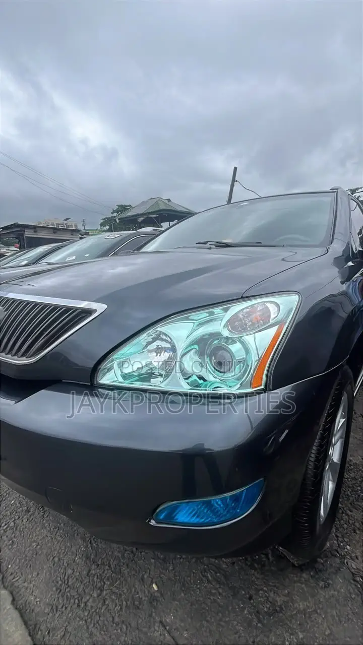 Lexus RX 350 2008 Matt Black