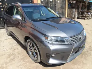 Lexus RX 2013 Gray