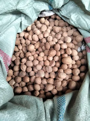 Nutmeg Seeds