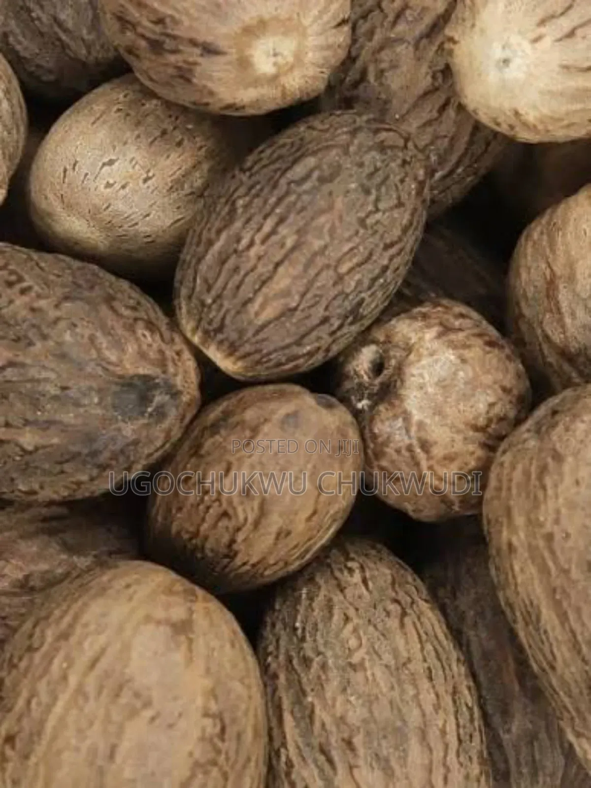 Nutmeg Seeds