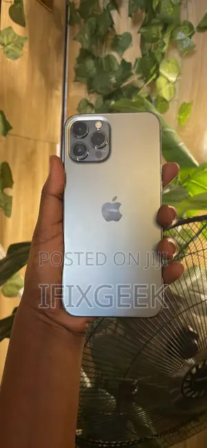 Apple iPhone 12 Pro Max 128 GB Gray