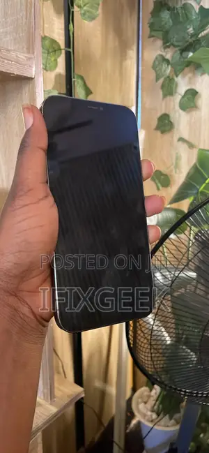 Apple iPhone 12 Pro Max 128 GB Gray