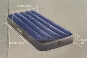 Intex Inflatable Bed
