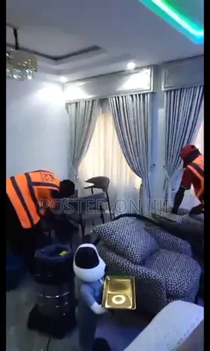 Professional Deep Cleaning Experts