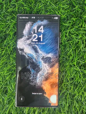 Samsung Galaxy S22 Ultra 256 GB Purple