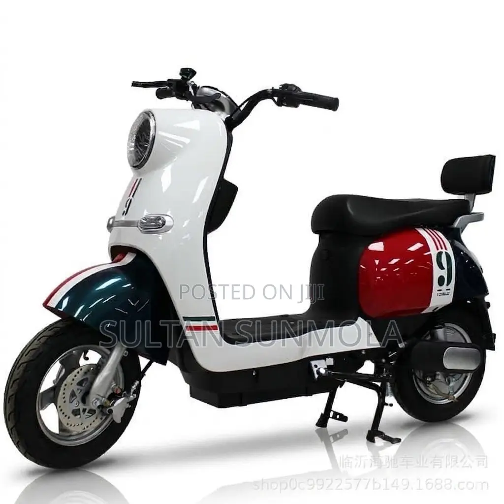 Electric Bike/Scooter