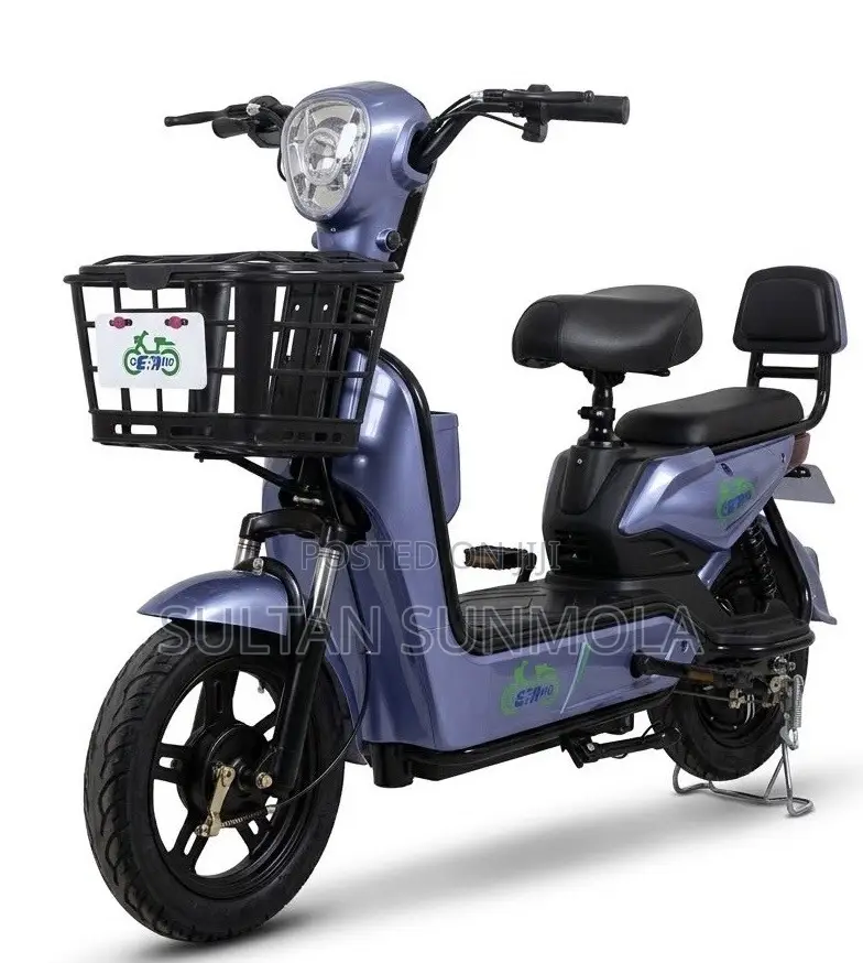Electric Bike/Scooter (E-Bike)