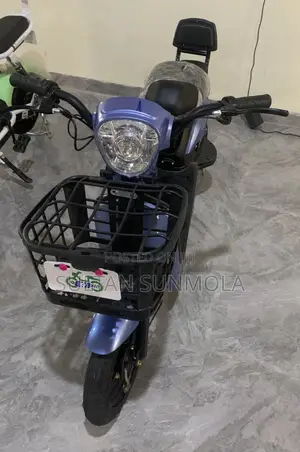 Electric Bike/Scooter (E-Bike)