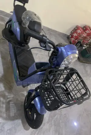 Electric Bike/Scooter (E-Bike)
