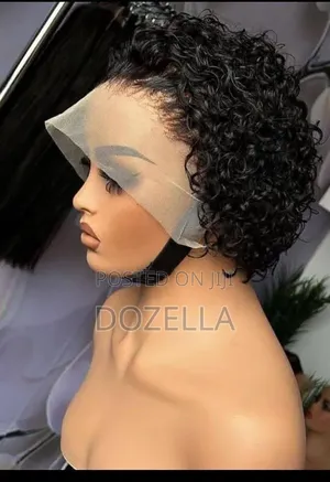 Human Hair Wigs