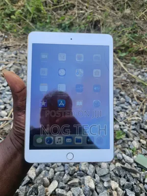Apple iPad mini 3 64 GB Gray