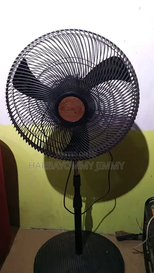Standing Fan for Sale