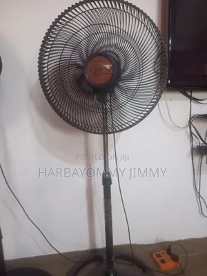Standing Fan for Sale
