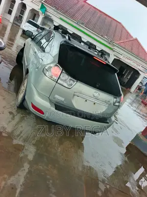 Lexus RX 330 2005 Gray