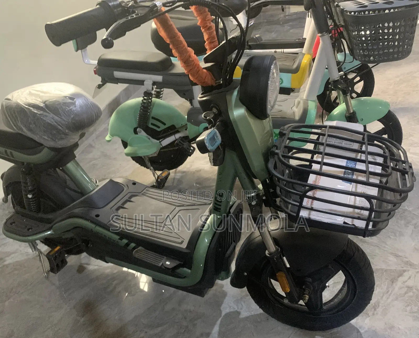 Electric Bicycle/Bike (E-Bike)