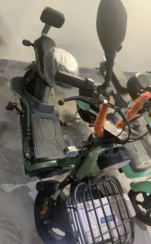 Electric Bicycle/Bike (E-Bike)
