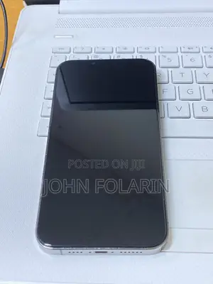 Apple iPhone 13 Pro Max 256 GB Gray