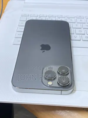 Apple iPhone 13 Pro Max 256 GB Gray