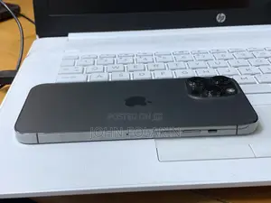 Apple iPhone 13 Pro Max 256 GB Gray