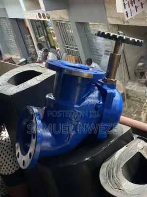 Cast Iron Flanged Check Valve or Non-Return Valve (NRV)painted Blue
