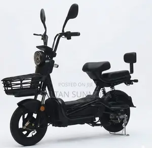 Electric Bicycle/Bike (E-Bike)