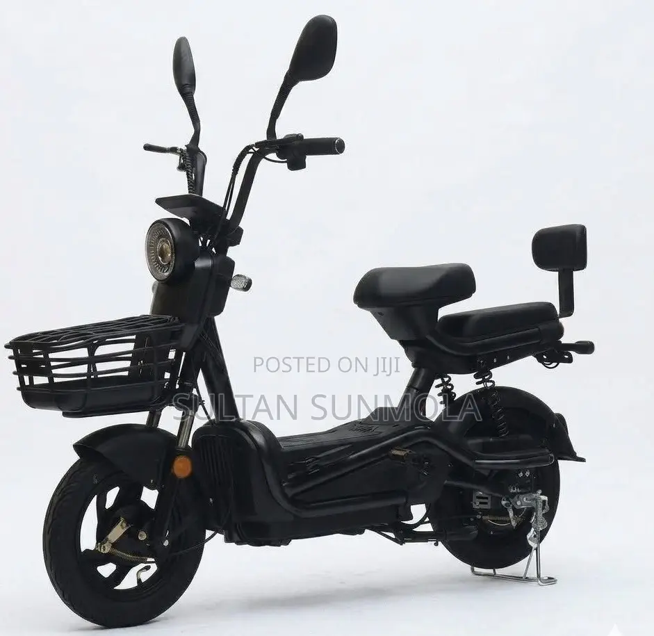 Electric Bicycle/Bike (E-Bike)