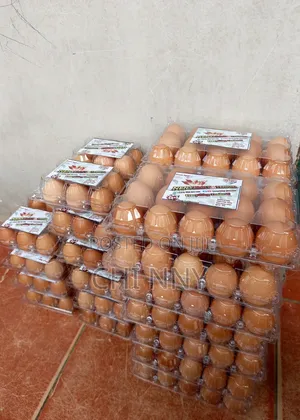 Fresh Package Eggs