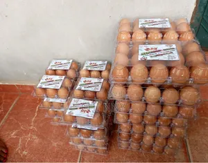 Fresh Package Eggs