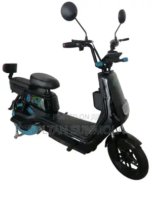 Electric Bike/Scooter (E-Bike)
