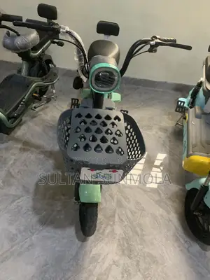 Electric Bicycle/Bike