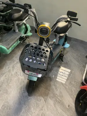 Electric Bicycle/Bike