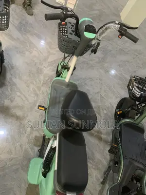 Electric Bicycle/Bike