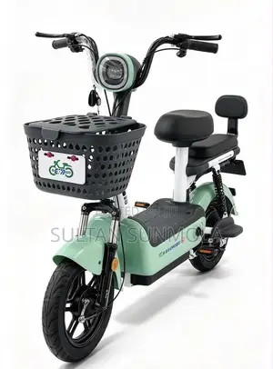 Electric Bicycle/Bike