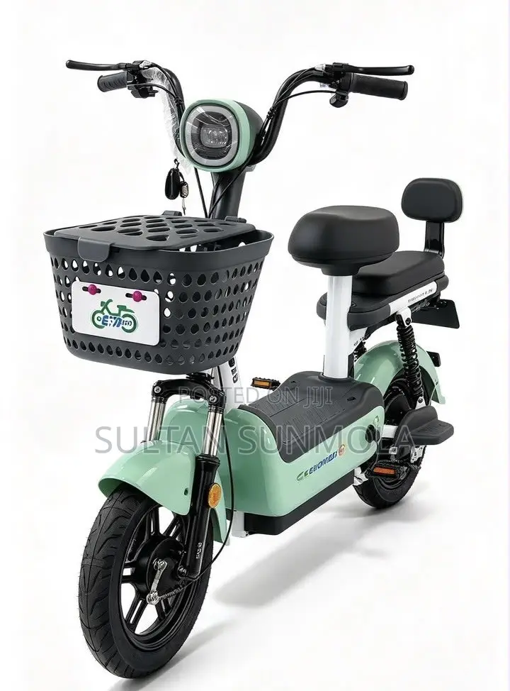 Electric Bicycle/Bike