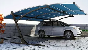Imported Foreign 2 Cars Carport