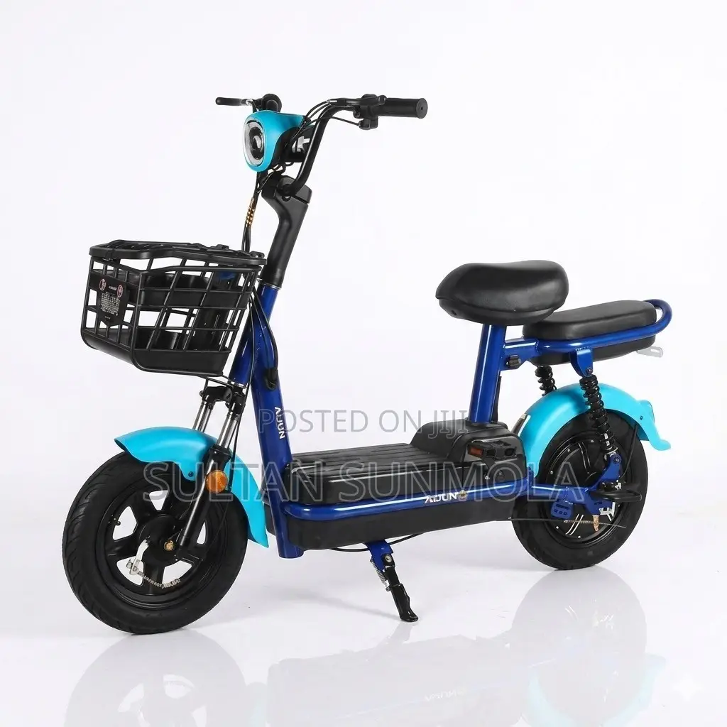 Electric Bike/Scooter (E-Bike)