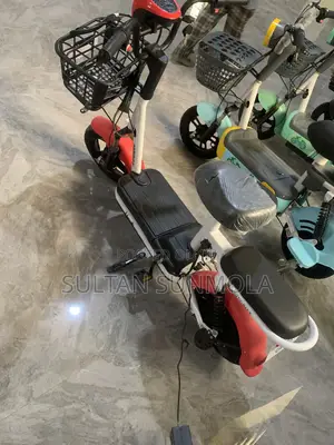 Electric Bike/Scooter (E-Bike)