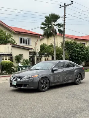 Honda Accord Sedan EX-L 2010 Gray