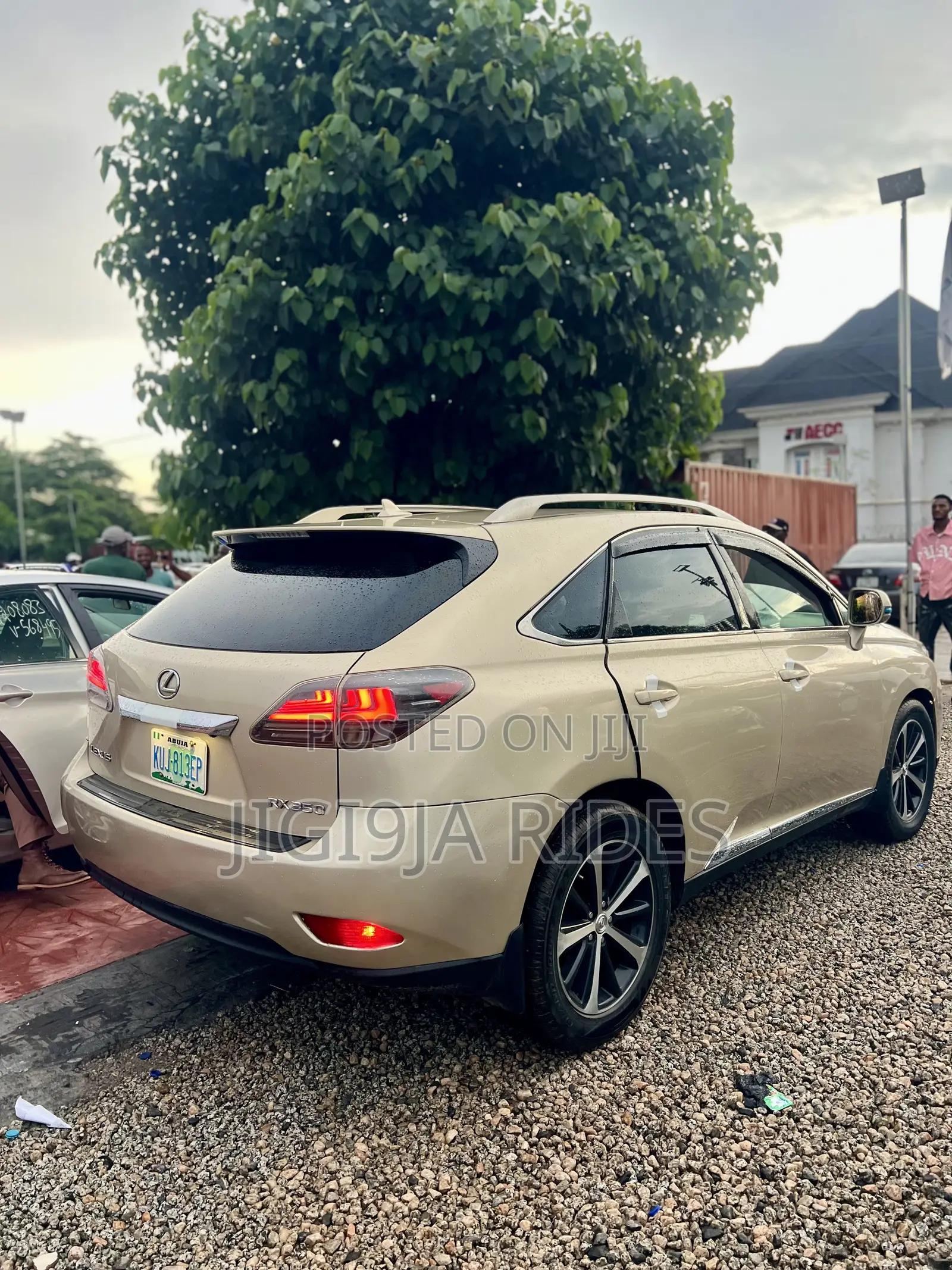 Lexus RX 2010 Gold