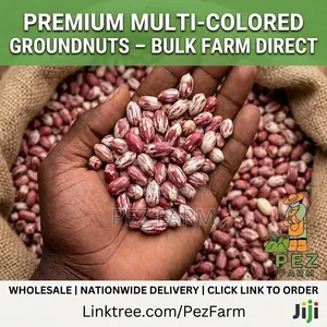 Kampala Groundnut