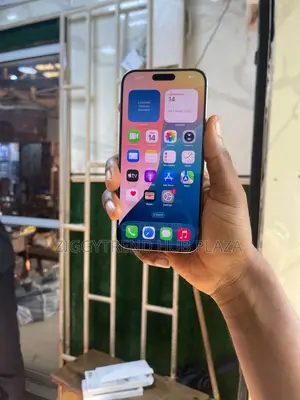 Apple iPhone 16 Pro Max 256 GB Gray